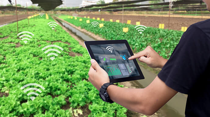 Precision Agriculture Solutions